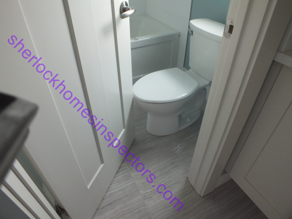 sherlockhomesinspectors (1)